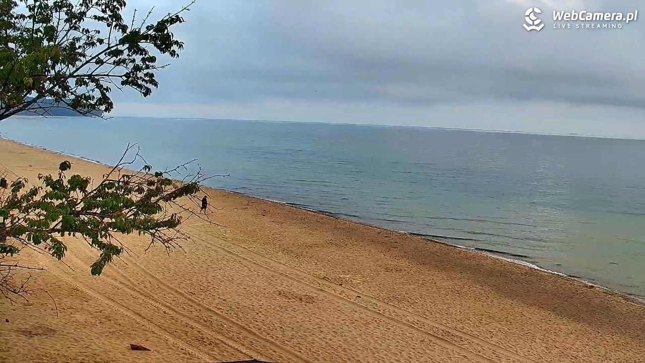 Chłapowo - widok na plażę NOWOŚĆ - 06 sierpień 2026, 06:58