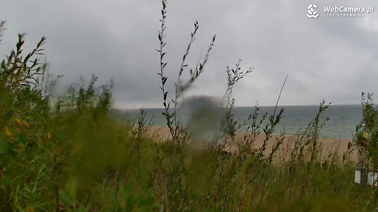 WŁADYSŁAWOWO - widok na plażę - 29 sierpień 2025, 16:44