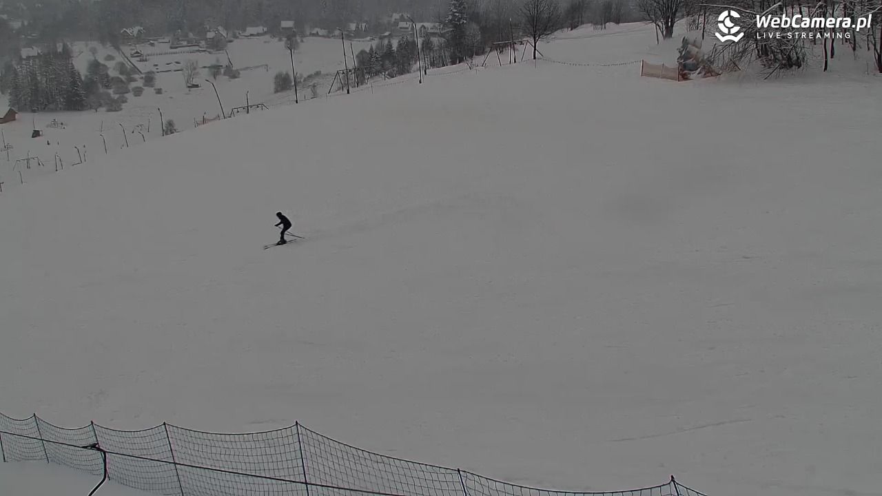 Zawoja Wojtek - NOWOŚĆ - 15 luty 2026, 16:26