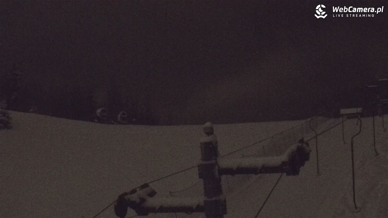 Zawoja Wojtek - NOWOŚĆ - 19 luty 2026, 00:12