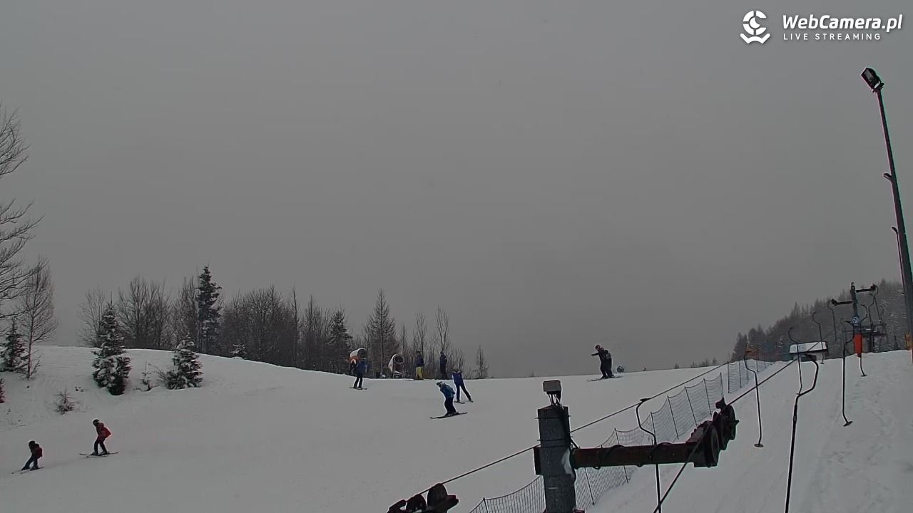 Zawoja Wojtek - NOWOŚĆ - 17 luty 2026, 14:20