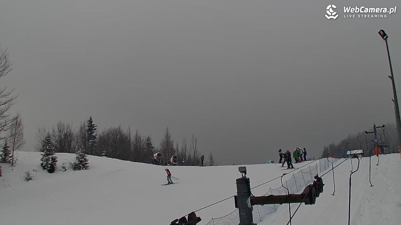 Zawoja Wojtek - NOWOŚĆ - 17 luty 2026, 15:19