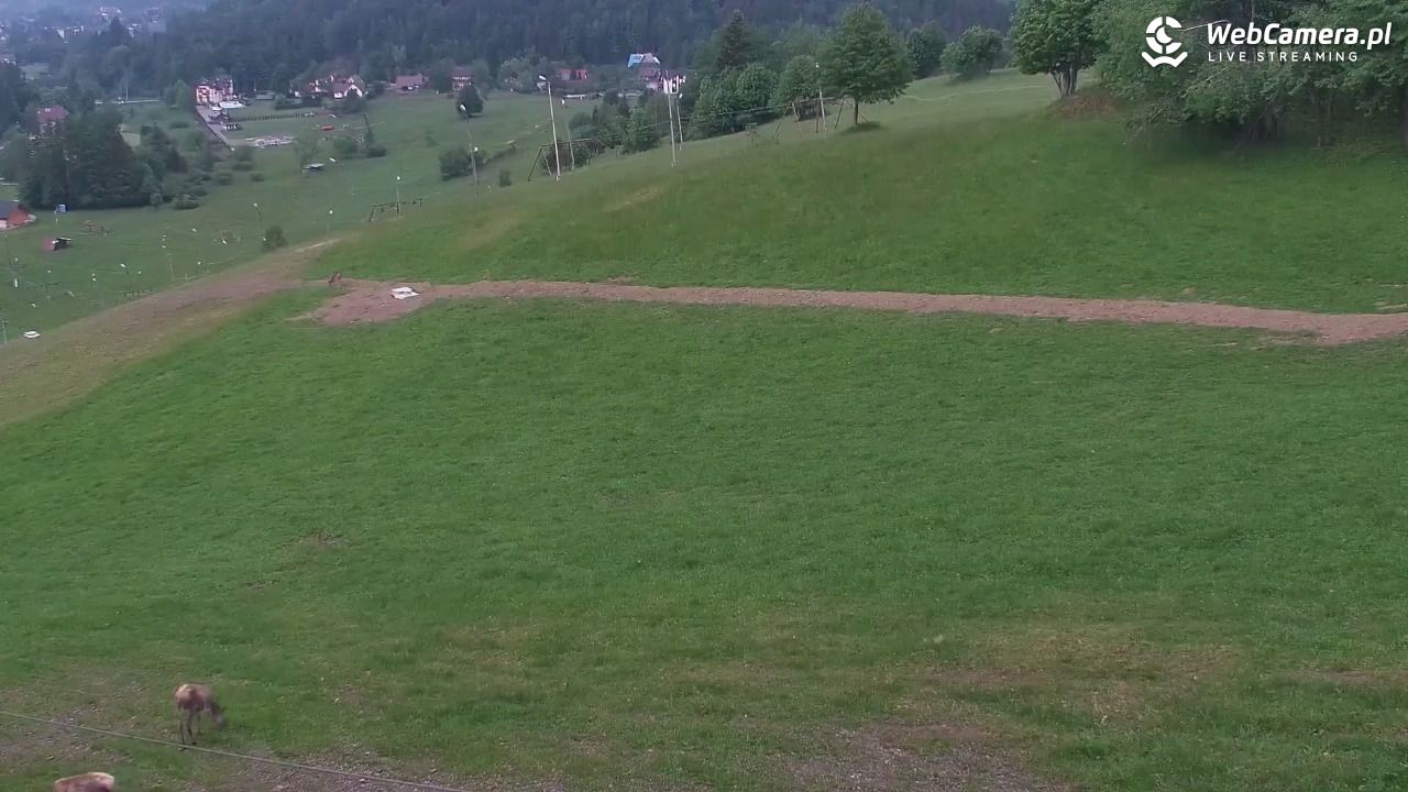 Zawoja Wojtek - NOWOŚĆ - 01 czerwiec 2026, 20:56