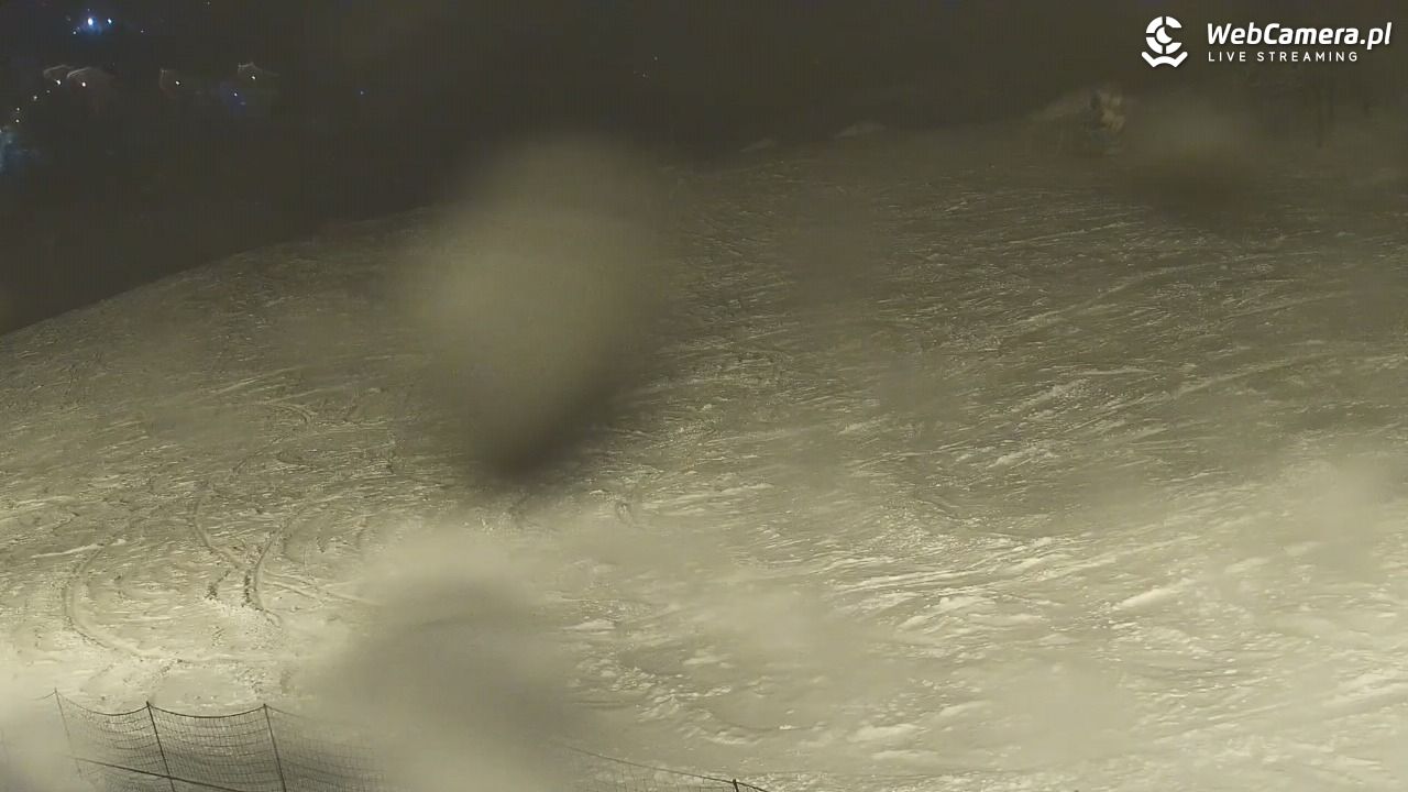 Zawoja Wojtek - NOWOŚĆ - 14 luty 2026, 20:12