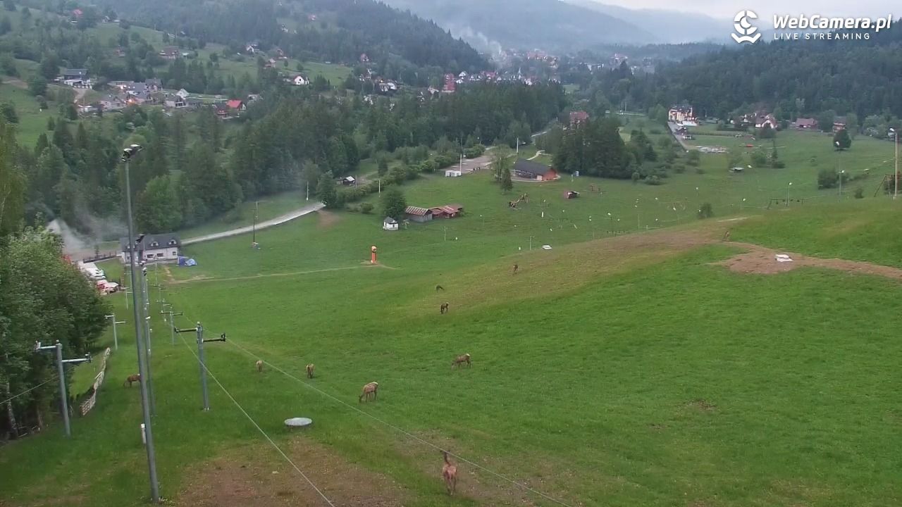 Zawoja Wojtek - NOWOŚĆ - 01 czerwiec 2026, 20:59