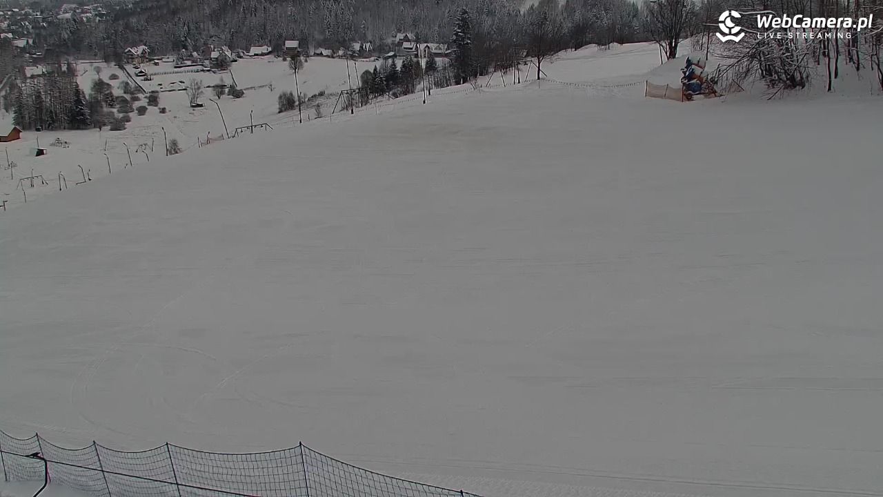 Zawoja Wojtek - NOWOŚĆ - 17 luty 2026, 09:11