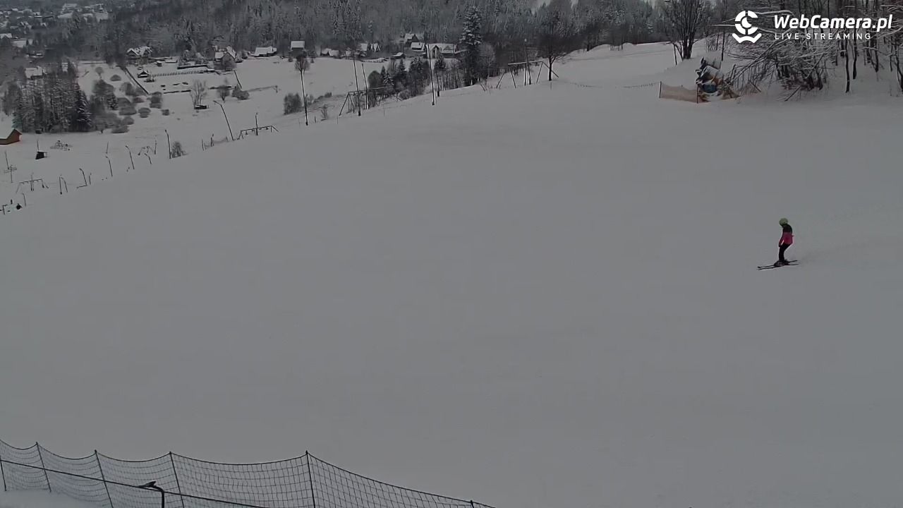 Zawoja Wojtek - NOWOŚĆ - 16 luty 2026, 10:02