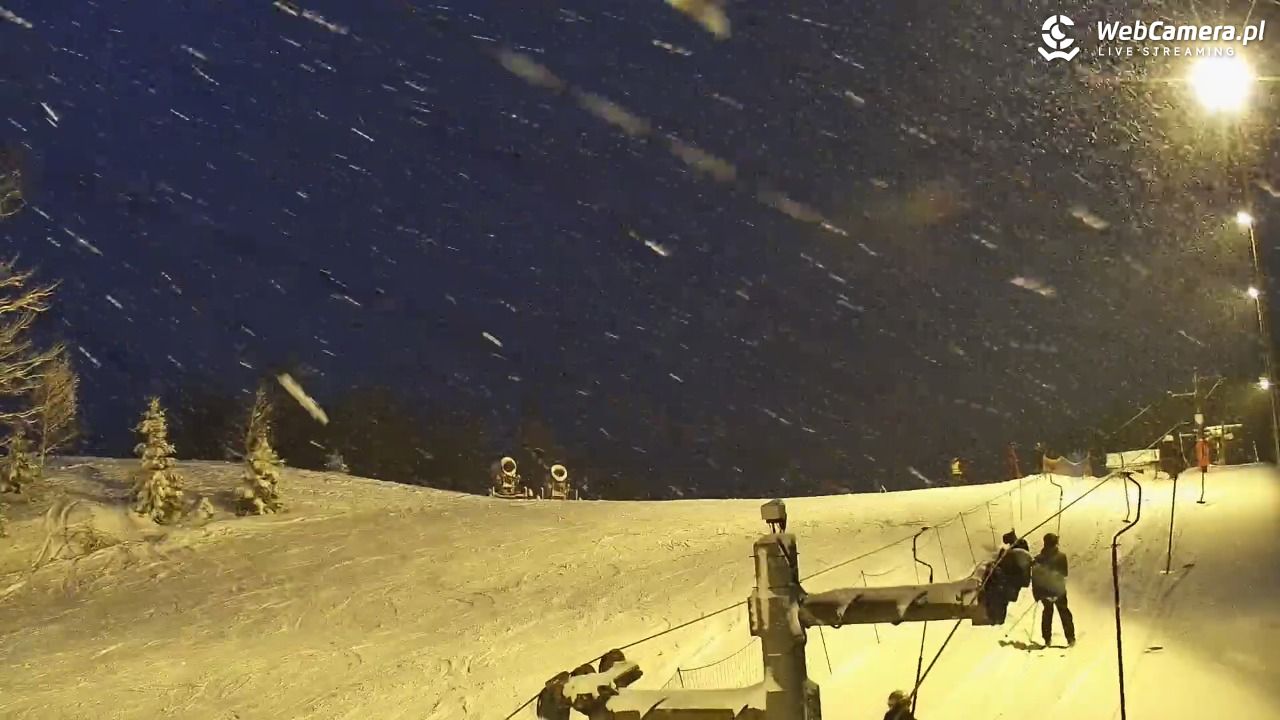 Zawoja Wojtek - NOWOŚĆ - 15 luty 2026, 17:42