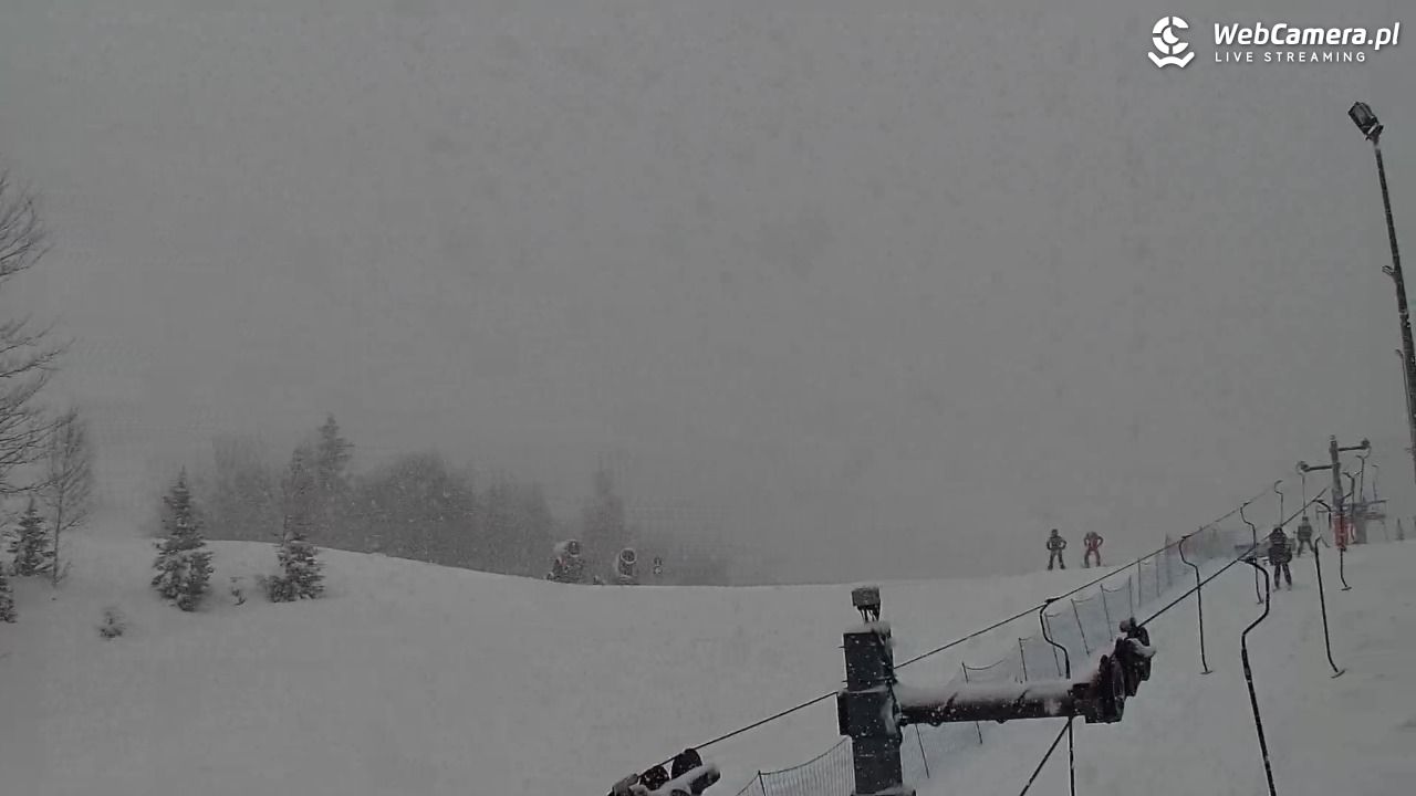 Zawoja Wojtek - NOWOŚĆ - 18 luty 2026, 16:20