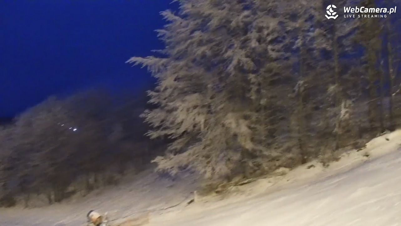 Zawoja Wojtek - NOWOŚĆ - 26 grudzień 2025, 16:35