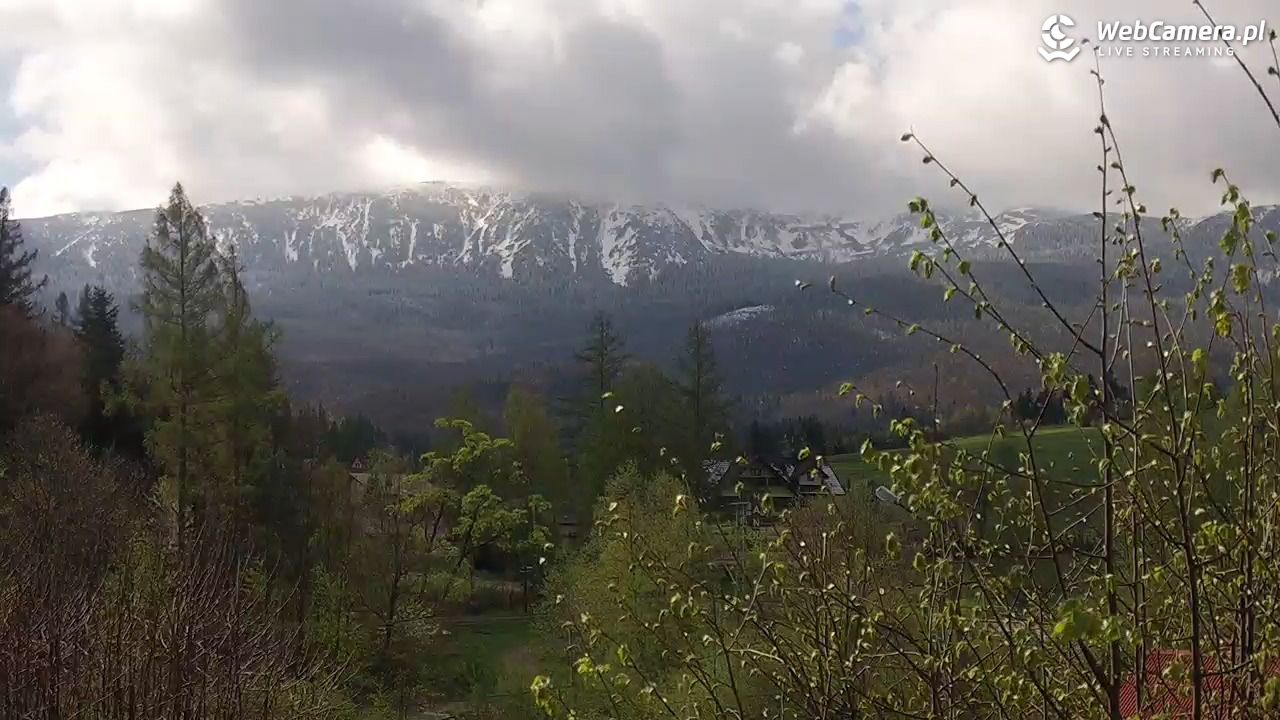 Zawoja Babia Góra - 19 kwiecień 2024, 09:43