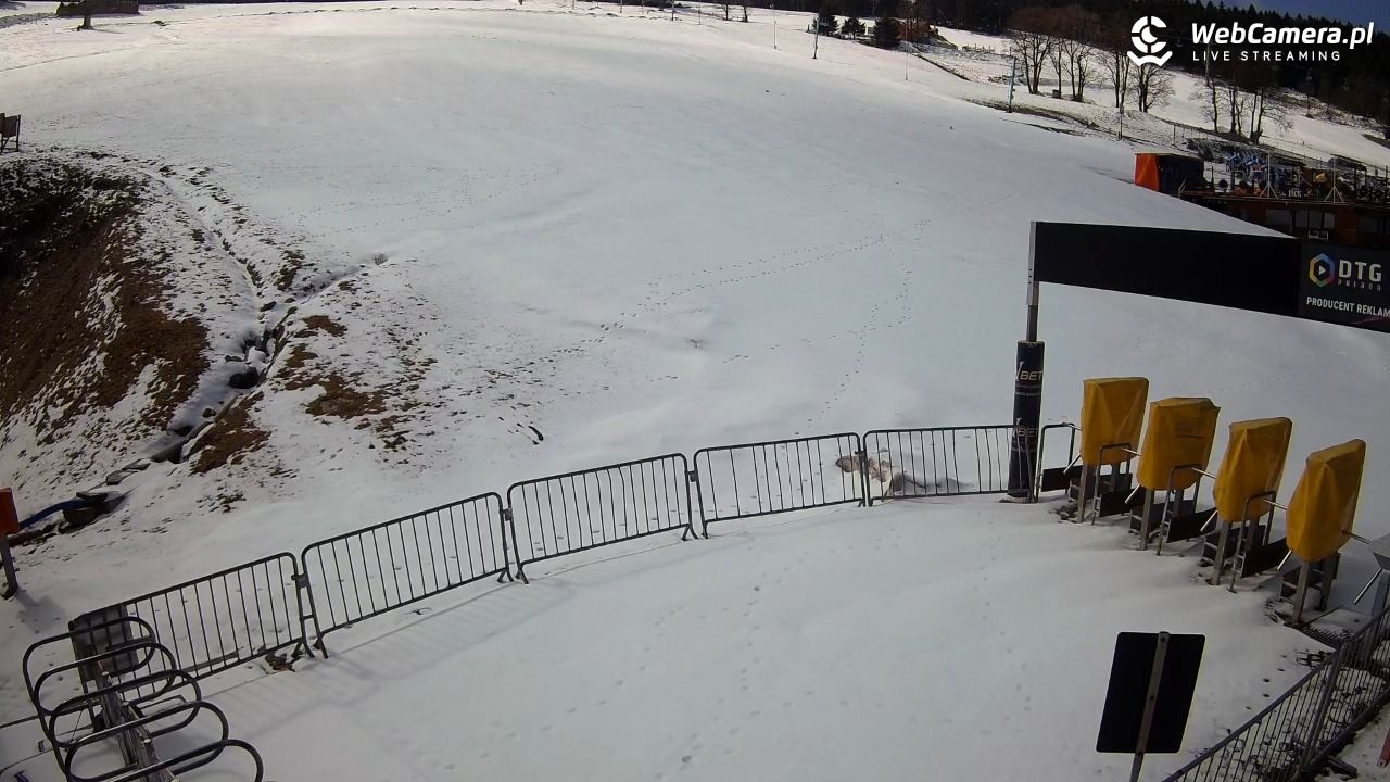 Zieleniec Sport Arena - Winterpol W3 dolna stacja - 01 kwiecień 2026, 14:06