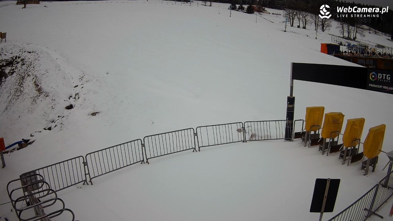 Zieleniec Sport Arena - Winterpol W3 dolna stacja - 31 marzec 2026, 17:07