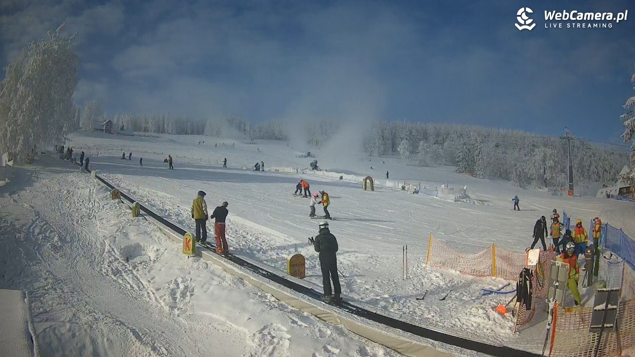 Zieleniec Sport Arena - Winterpol WT2 szkoła T&T - 01 luty 2026, 10:34