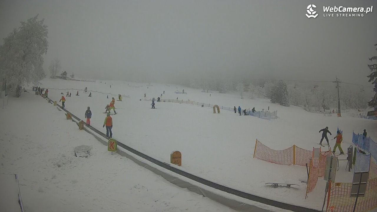 Zieleniec Sport Arena - Winterpol WT2 szkoła T&T - 29 styczeń 2026, 14:43