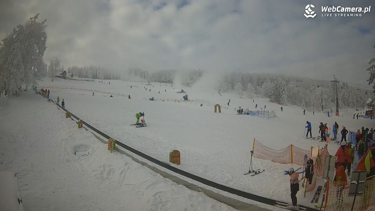 Zieleniec Sport Arena - Winterpol WT2 szkoła T&T - 01 luty 2026, 11:57
