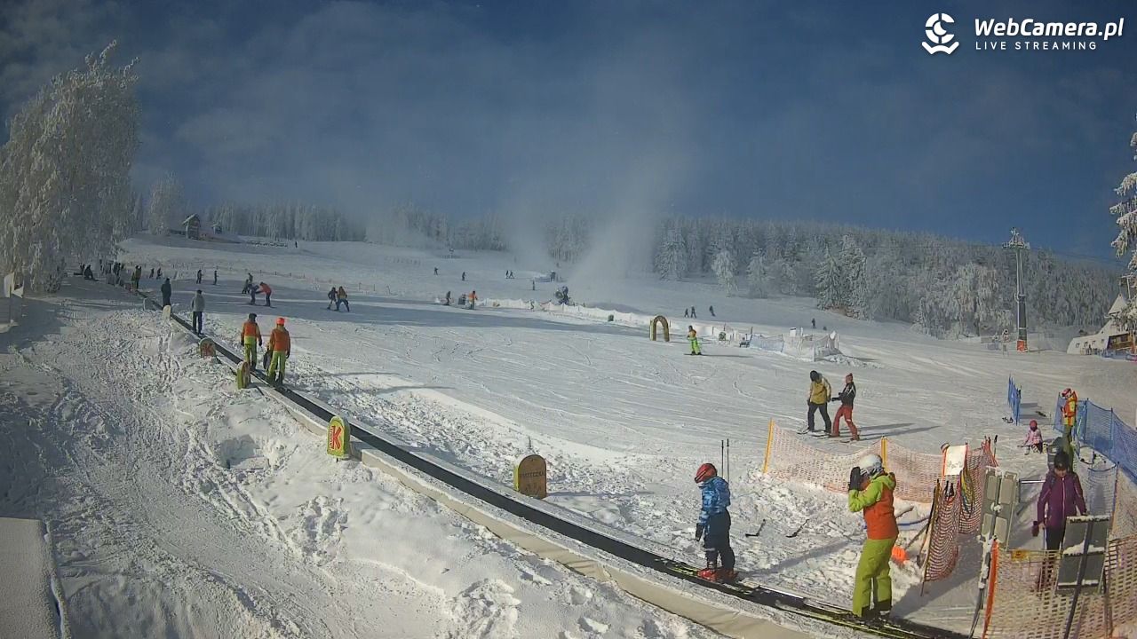 Zieleniec Sport Arena - Winterpol WT2 szkoła T&T - 01 luty 2026, 10:32