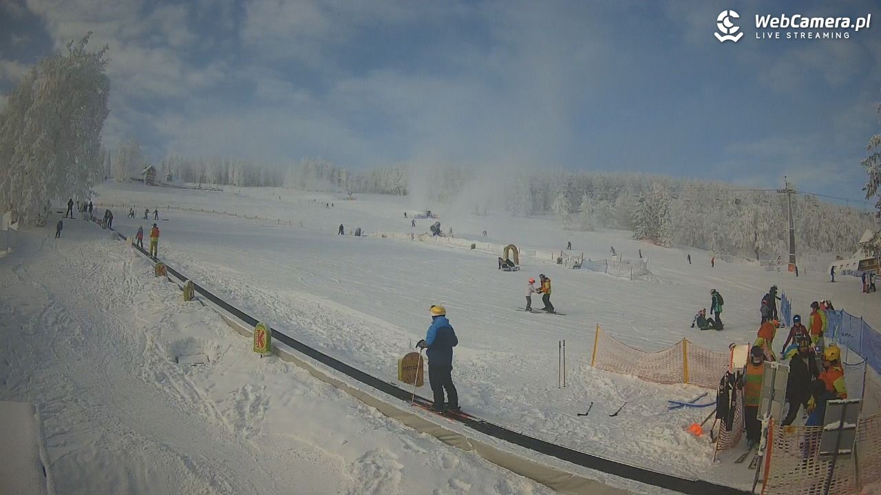 Zieleniec Sport Arena - Winterpol WT2 szkoła T&T - 01 luty 2026, 10:41