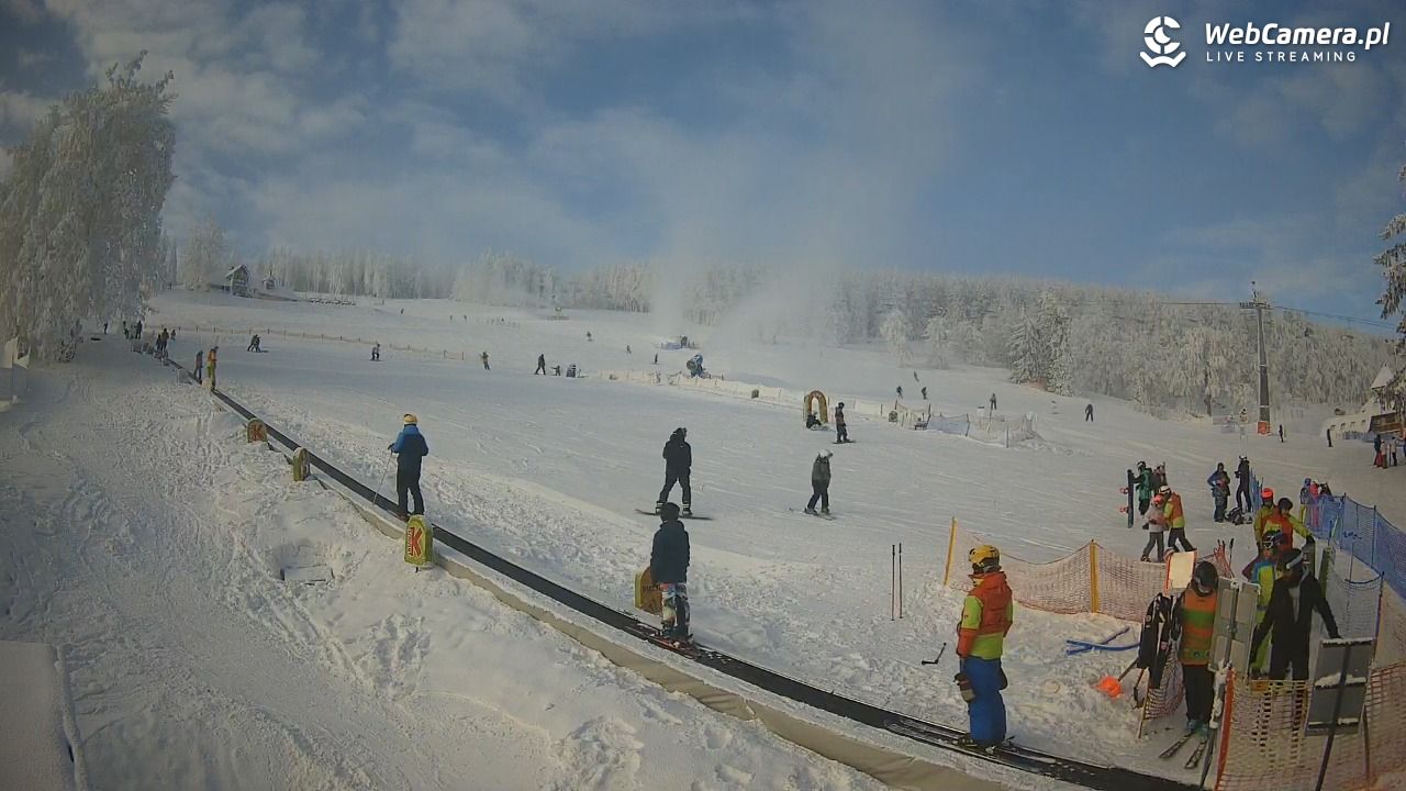 Zieleniec Sport Arena - Winterpol WT2 szkoła T&T - 01 luty 2026, 10:41