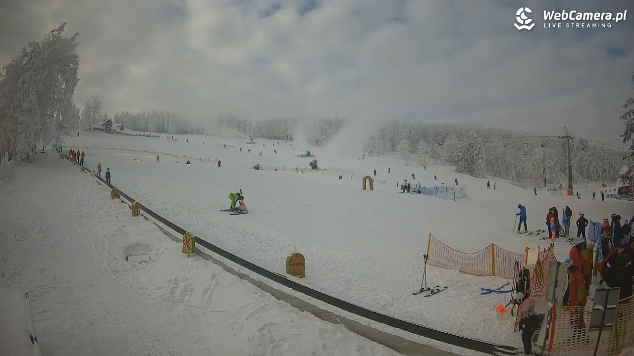 Zieleniec Sport Arena - Winterpol WT2 szkoła T&T - 01 luty 2026, 11:57
