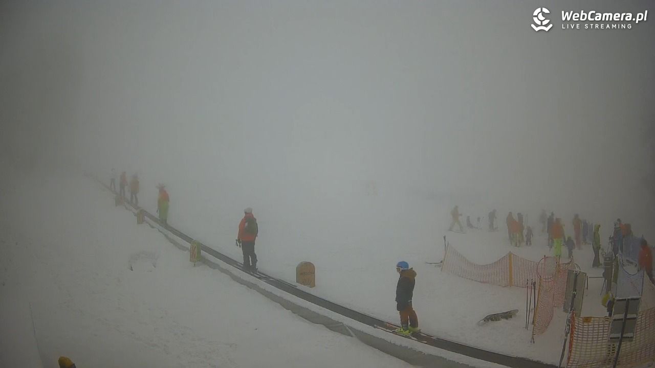 Zieleniec Sport Arena - Winterpol WT2 szkoła T&T - 30 styczeń 2026, 14:02