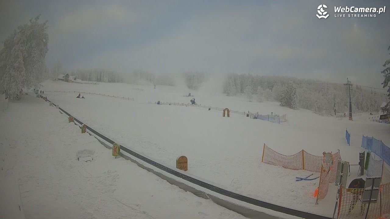 Zieleniec Sport Arena - Winterpol WT2 szkoła T&T - 01 luty 2026, 08:21