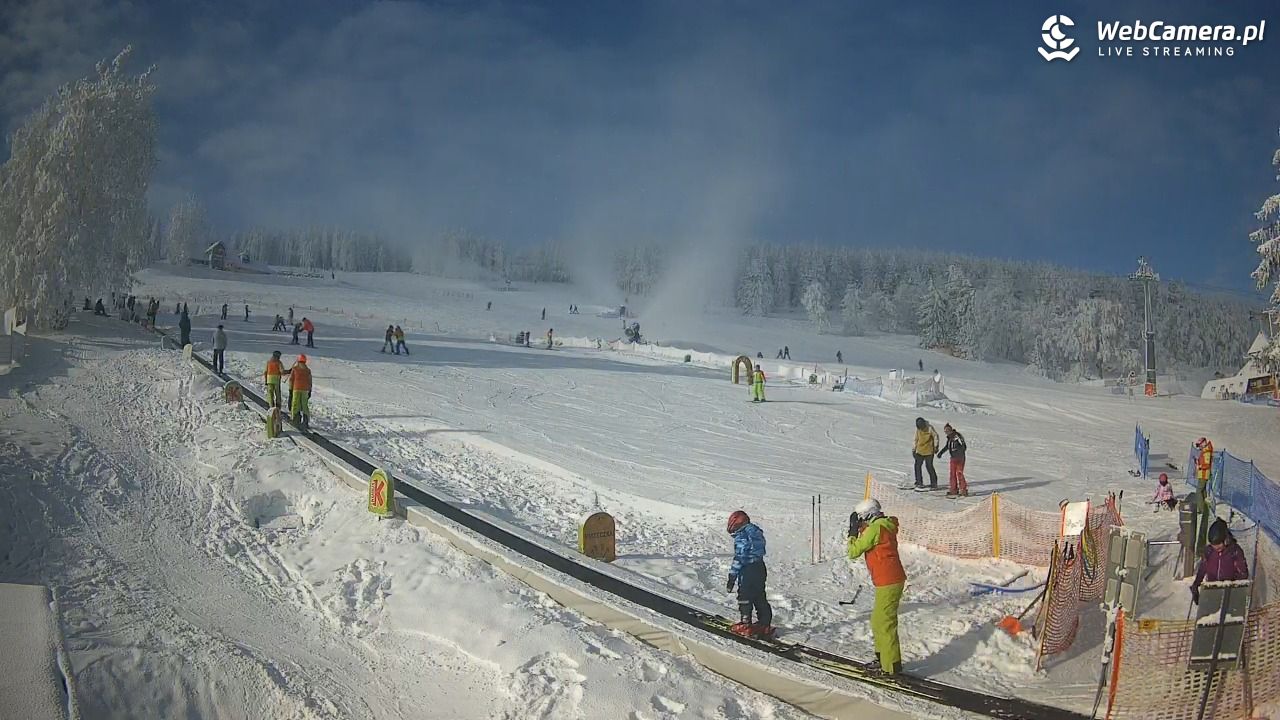 Zieleniec Sport Arena - Winterpol WT2 szkoła T&T - 01 luty 2026, 10:32