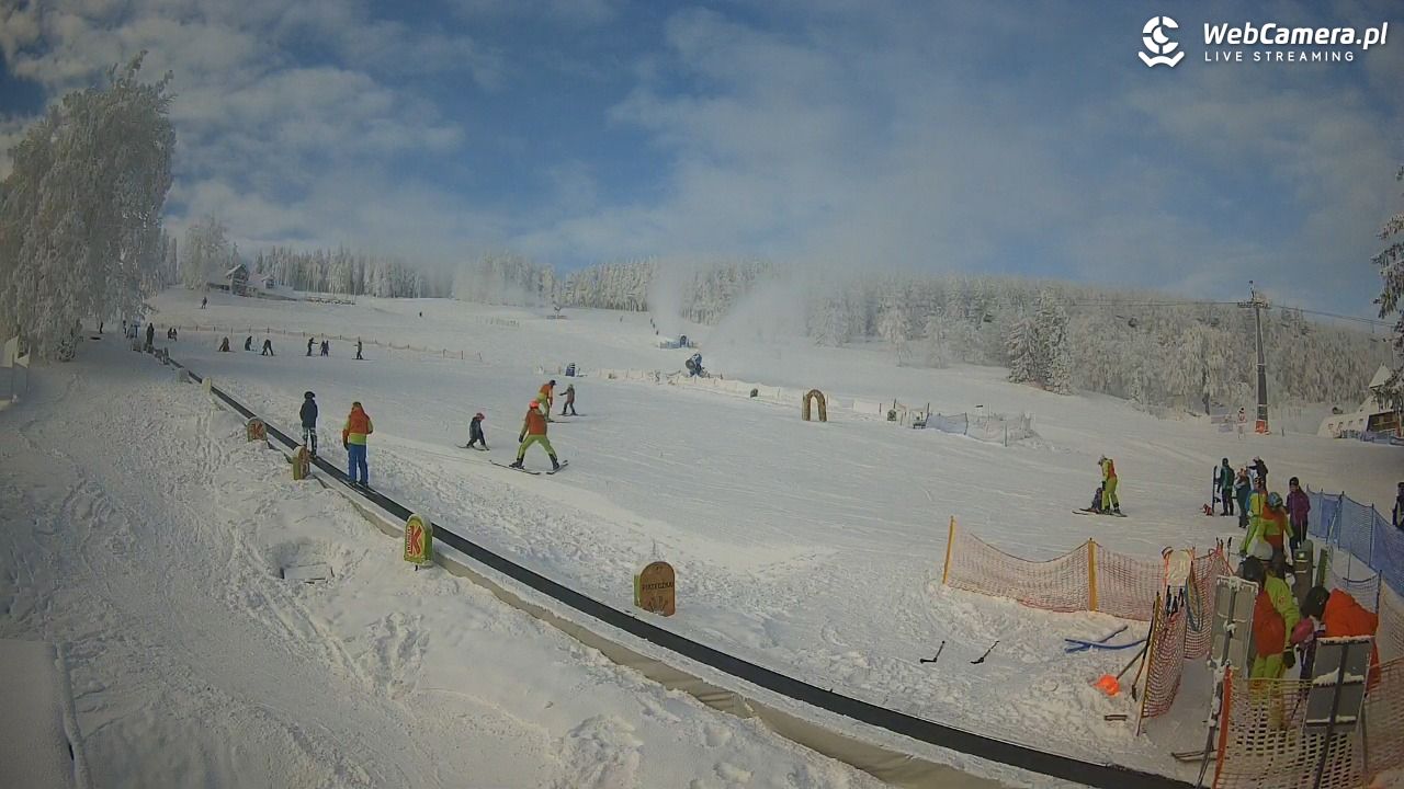 Zieleniec Sport Arena - Winterpol WT2 szkoła T&T - 01 luty 2026, 10:20