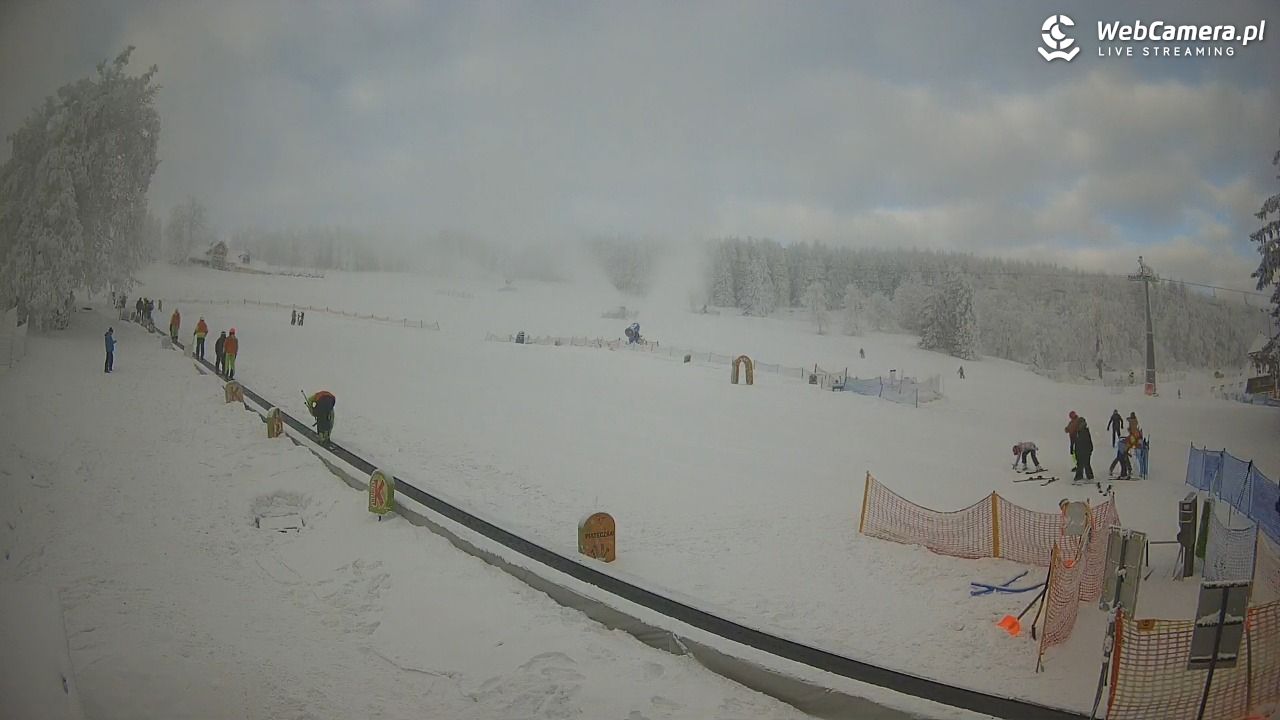 Zieleniec Sport Arena - Winterpol WT2 szkoła T&T - 01 luty 2026, 09:08