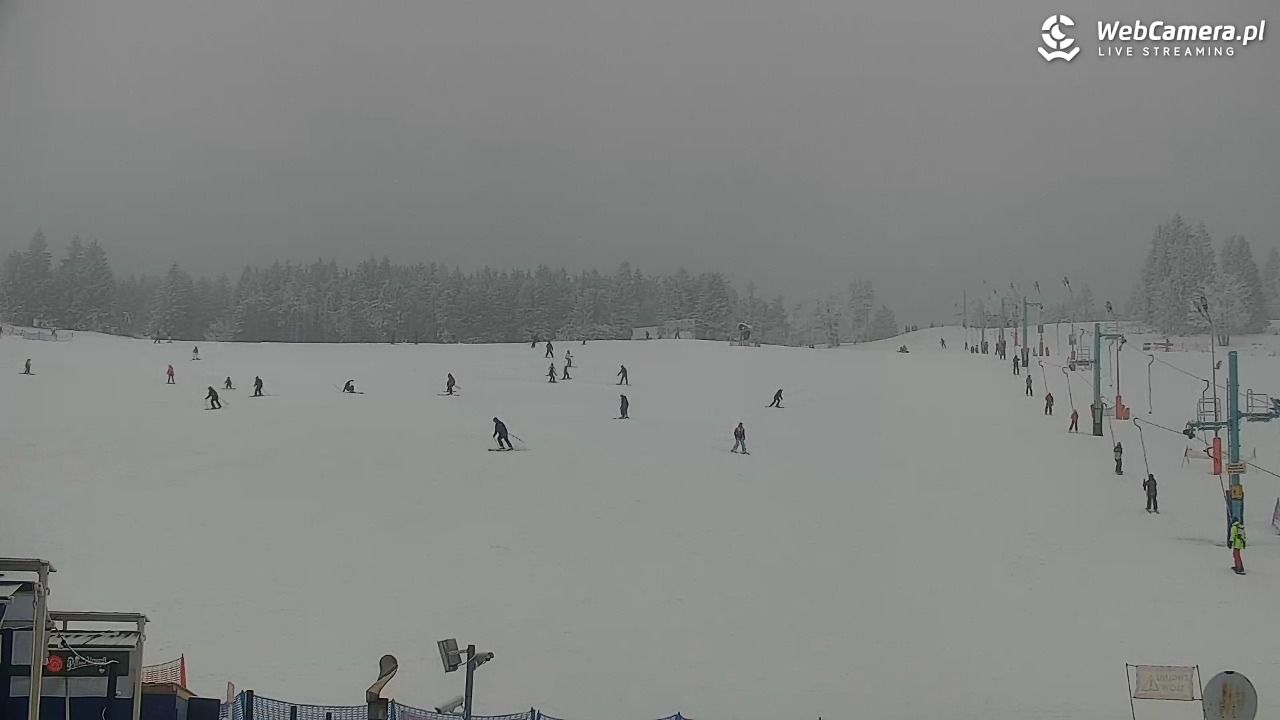 Zieleniec Sport Arena - Winterpol W3 - 24 styczeń 2026, 14:14
