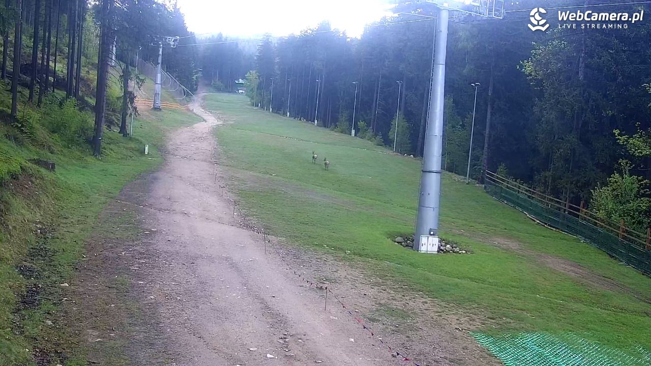 Winterpol Karpacz Biały Jar - 15 maj 2025, 09:20