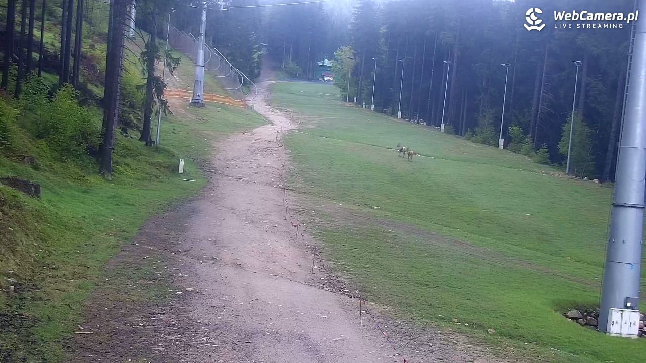 Winterpol Karpacz Biały Jar - 15 maj 2025, 09:20