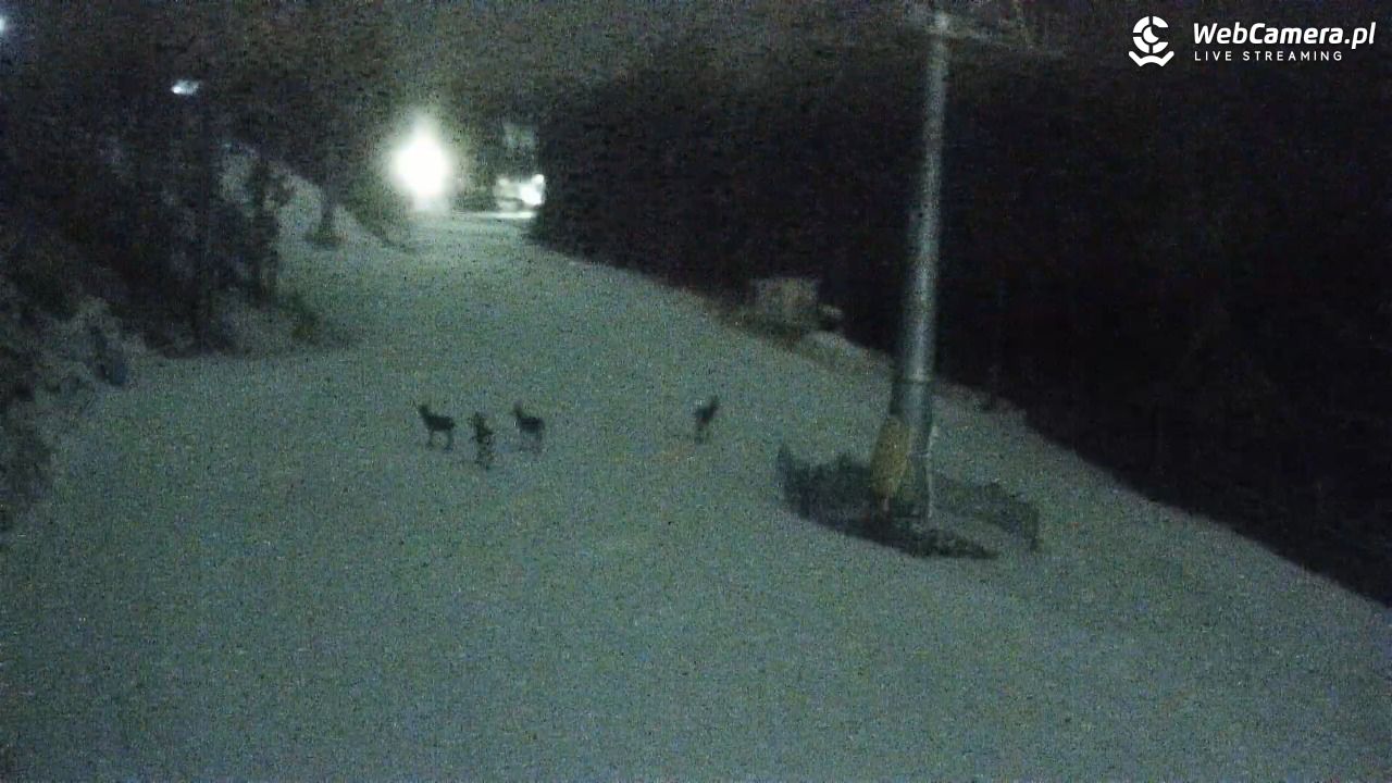 Winterpol Karpacz Biały Jar - 16 luty 2026, 21:23