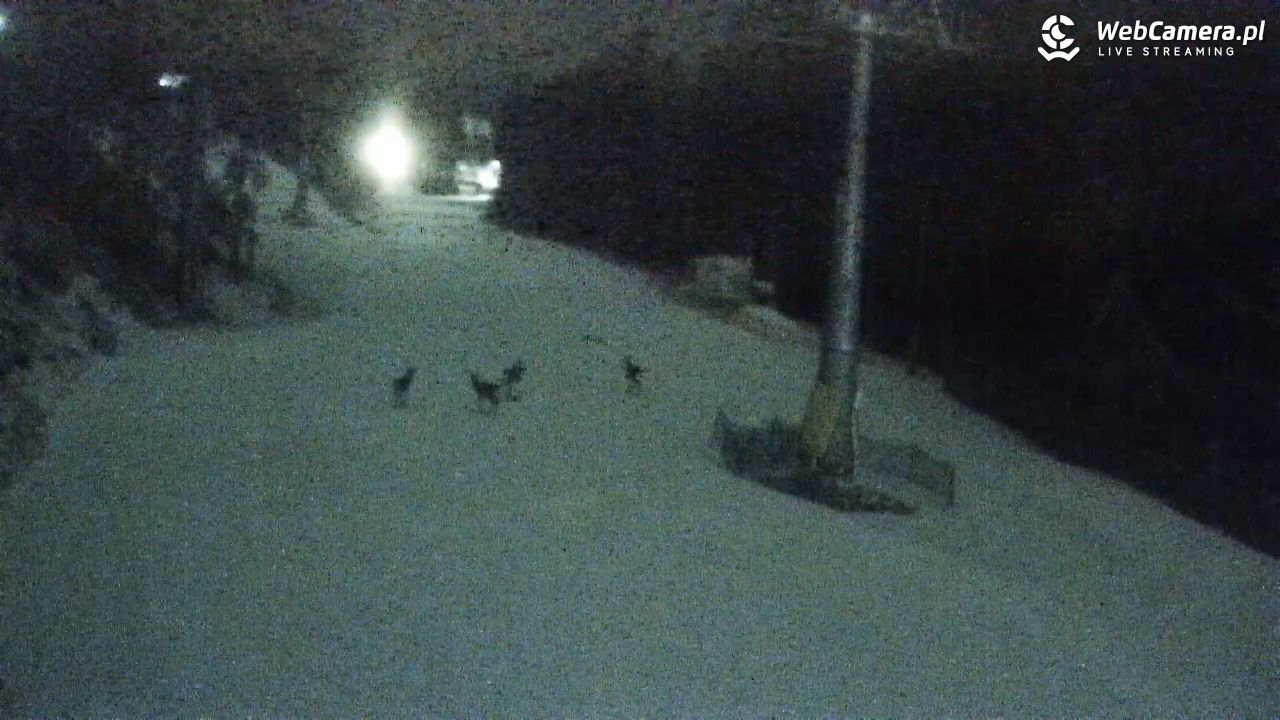 Winterpol Karpacz Biały Jar - 16 luty 2026, 21:23