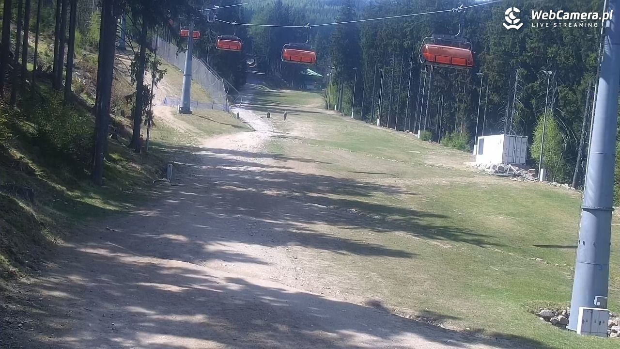 Winterpol Karpacz Biały Jar - 05 maj 2026, 12:11
