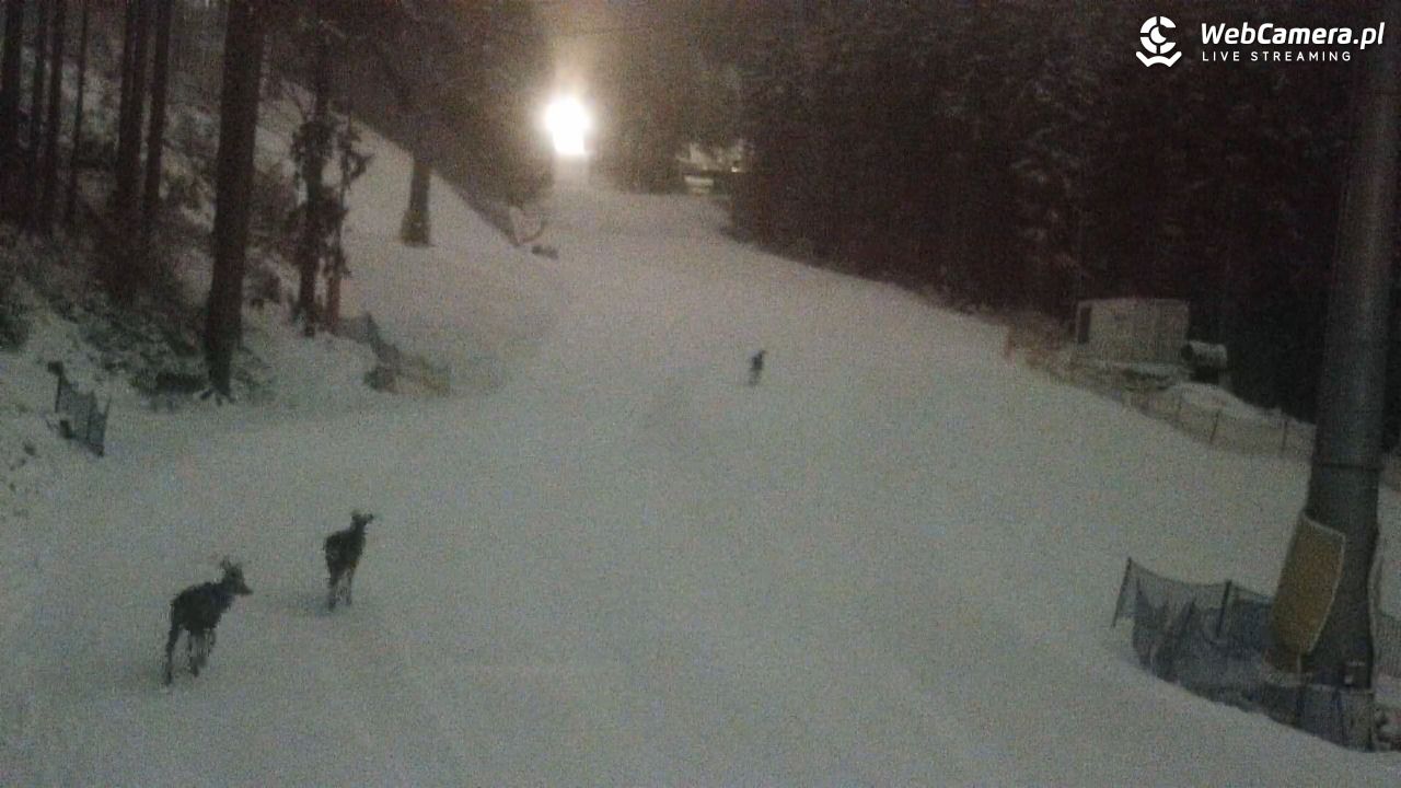 Winterpol Karpacz Biały Jar - 19 luty 2026, 00:32