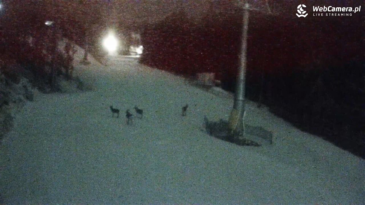 Winterpol Karpacz Biały Jar - 16 luty 2026, 21:23