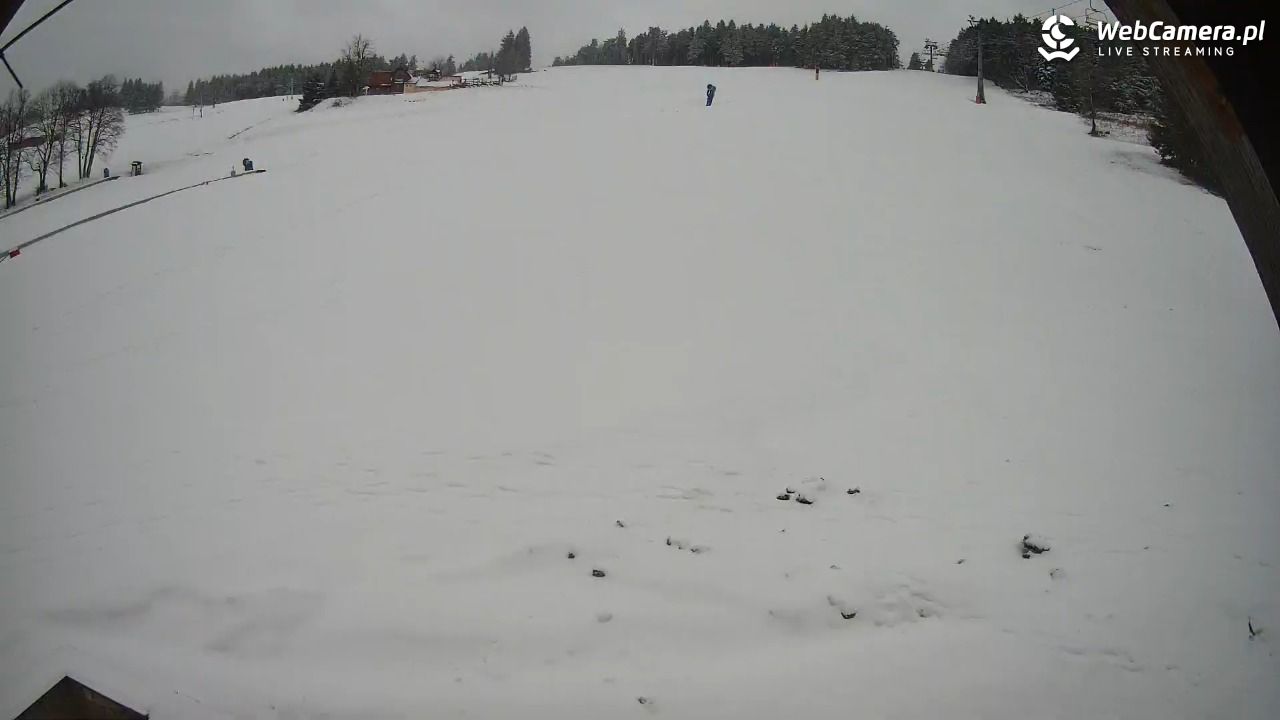 Zieleniec Sport Arena - Winterpol wyciąg W5 - 31 marzec 2026, 08:20