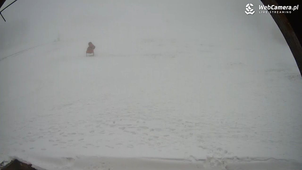 Zieleniec Sport Arena - Winterpol wyciąg W5 - 01 grudzień 2025, 13:46