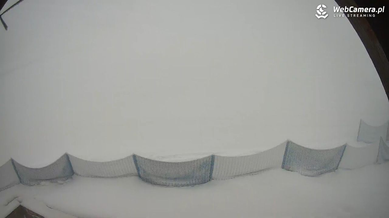 Zieleniec Sport Arena - Winterpol wyciąg W5 - 31 styczeń 2026, 08:07