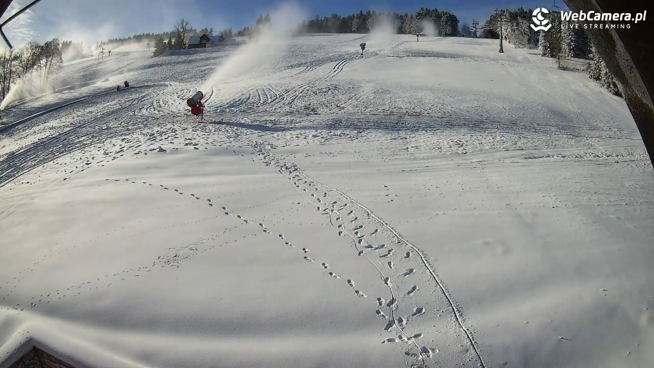Zieleniec Sport Arena - Winterpol wyciąg W5 - 21 listopad 2025, 10:31