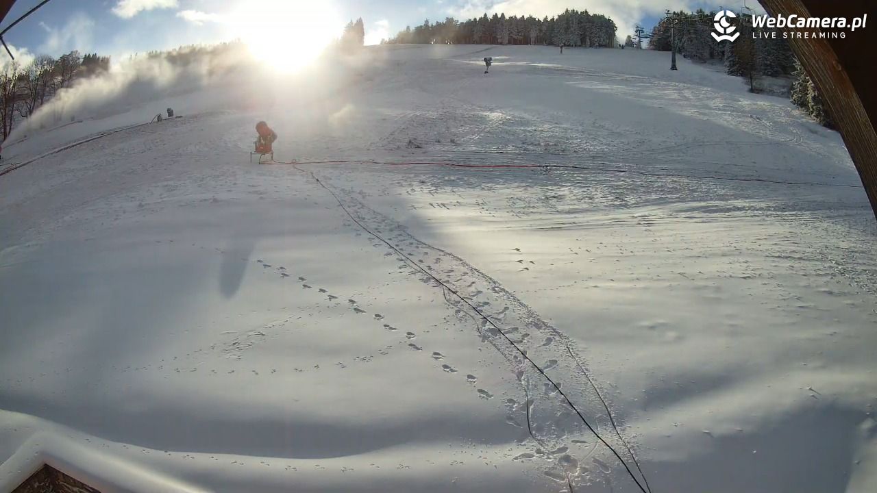 Zieleniec Sport Arena - Winterpol wyciąg W5 - 22 listopad 2025, 13:43