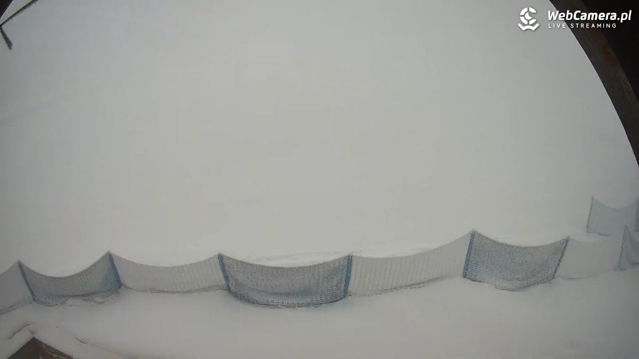 Zieleniec Sport Arena - Winterpol wyciąg W5 - 31 styczeń 2026, 08:07