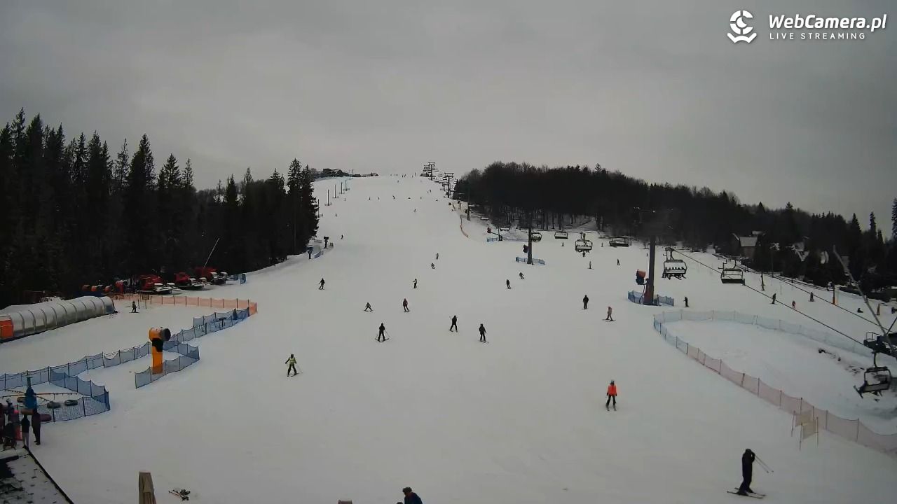 ZŁOTY Groń Istebna - 09 luty 2026, 10:07