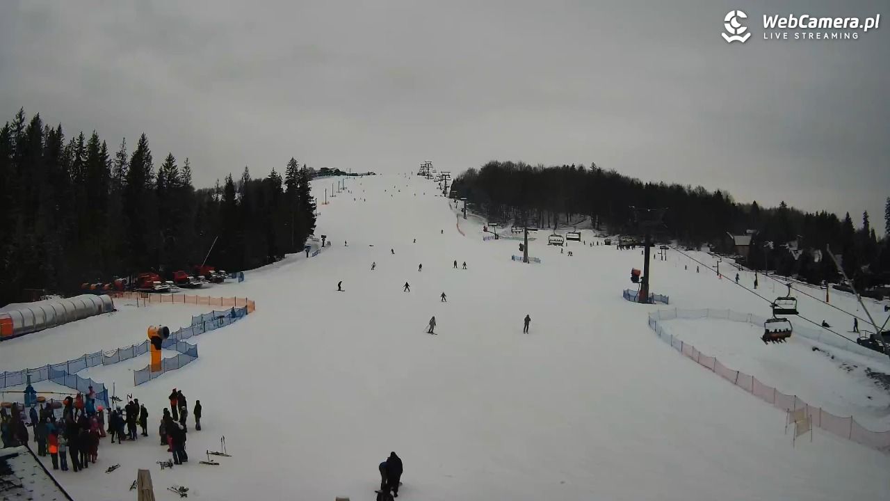 ZŁOTY Groń Istebna - 09 luty 2026, 10:05