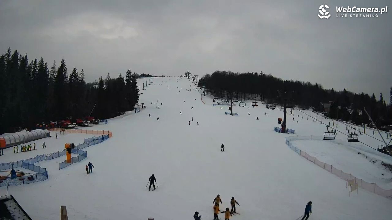 ZŁOTY Groń Istebna - 09 luty 2026, 10:38