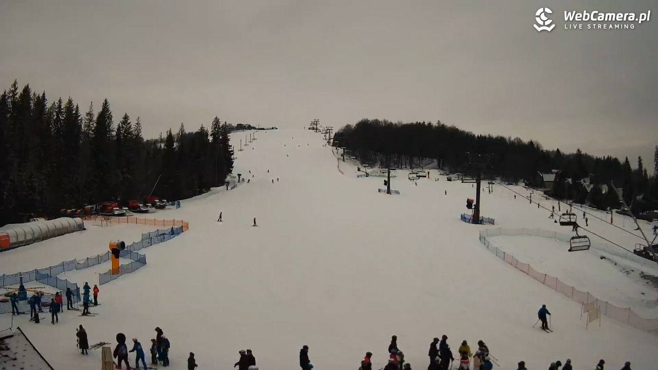 ZŁOTY Groń Istebna - 09 luty 2026, 09:43