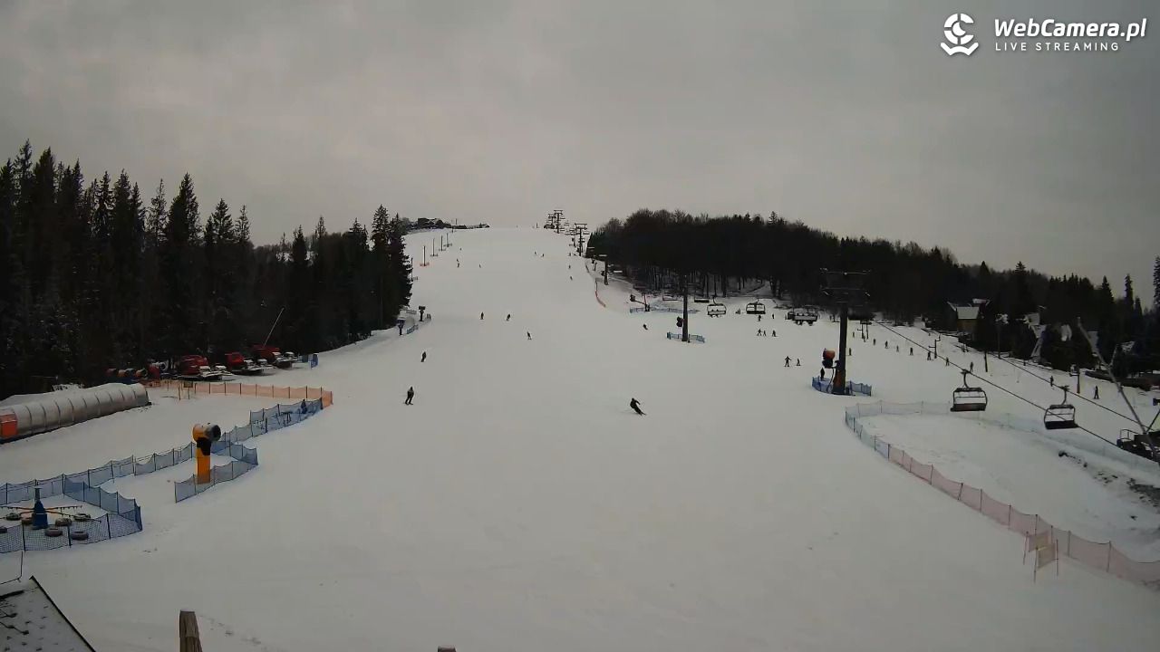 ZŁOTY Groń Istebna - 09 luty 2026, 09:13