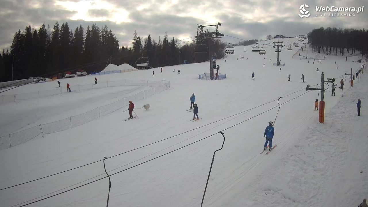 ZŁOTY Groń Istebna - 23 styczeń 2026, 10:39