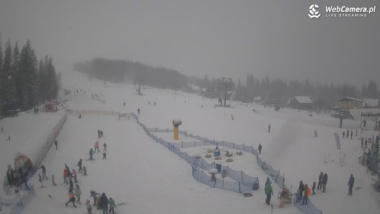 Złoty Groń - szkółka - 11 styczeń 2026, 11:26